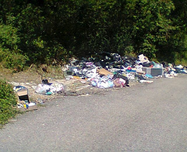 13012014 microdiscarica