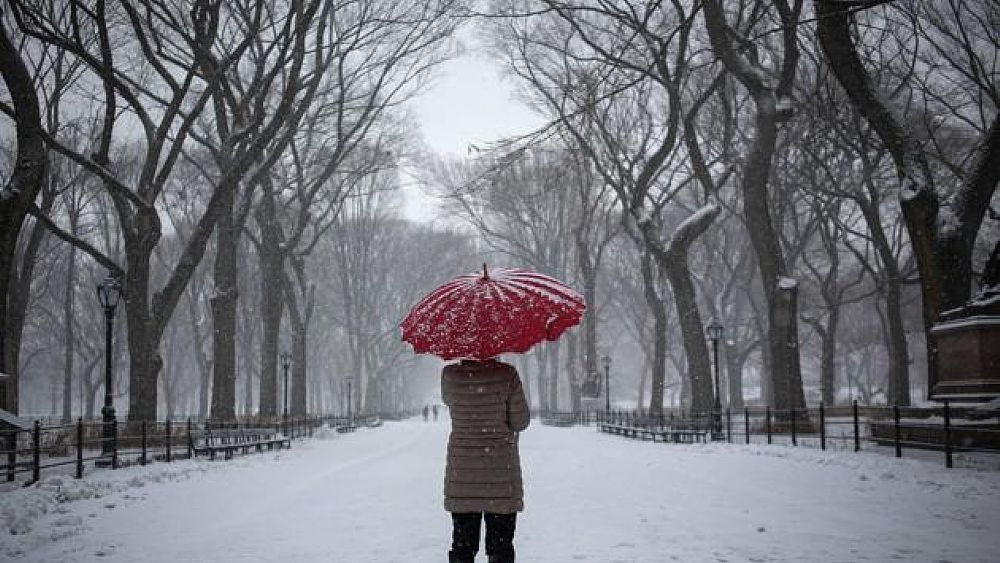 13012017 meteo freddo neve