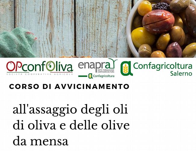 13012020 Corso assaggio olio Palinuro