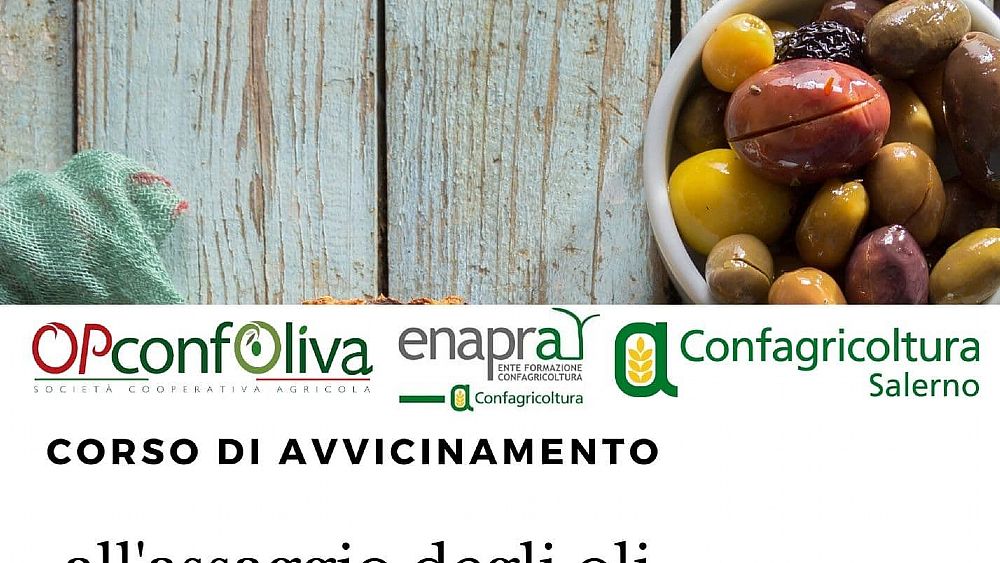 13012020 Corso assaggio olio Palinuro 13012020 Corso assaggio olio Palinuro