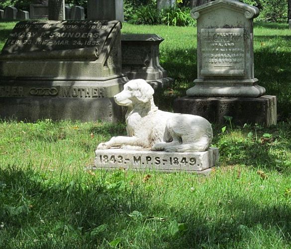 13022023 cimitero animali compagnia