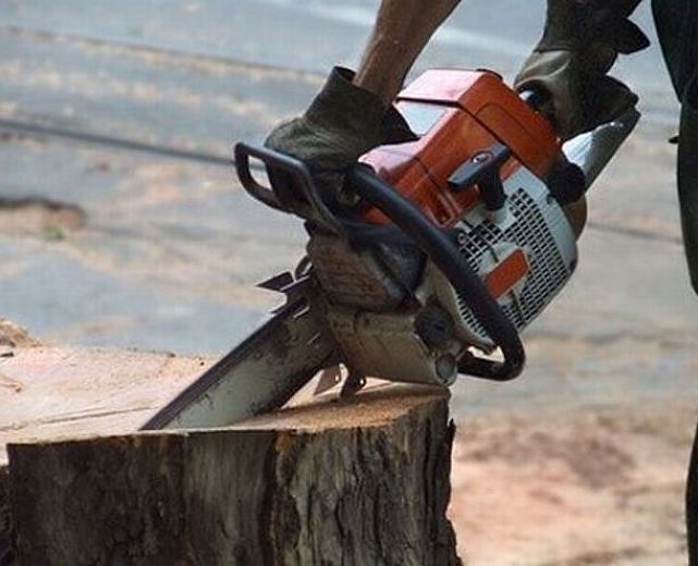 13042015 operaio con motosega