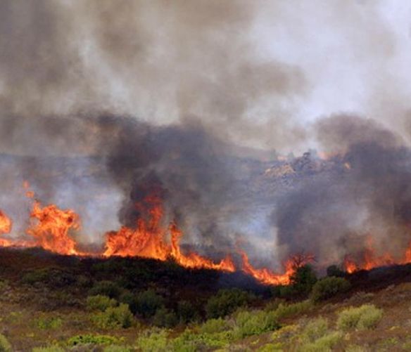 13042016 incendio boschivo