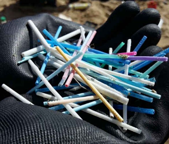 13042019 legambiente Beach Litter