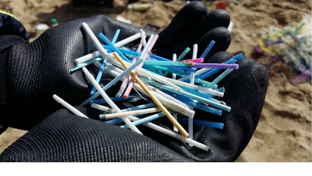 13042019 legambiente Beach Litter