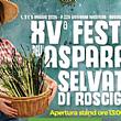 Paesi del Cilento - Le ultime  Notizie foto - 13042026 festa asparago selvatico