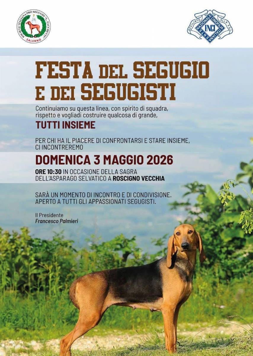 locandina festa del segugio