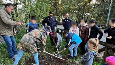 13042026 tortorella albero falcone