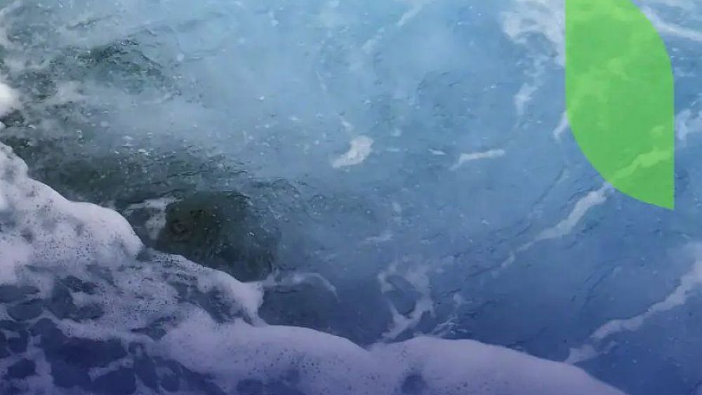 13062022 progetto mare salerno sorgenia 13062022 progetto mare salerno sorgenia