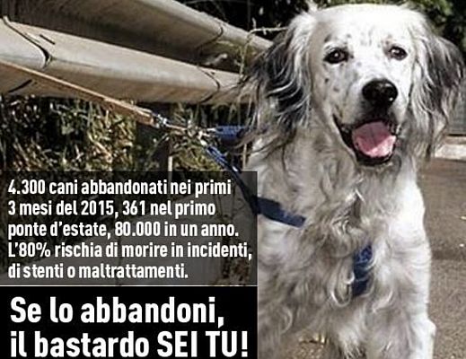 13072015 cani abbandonati