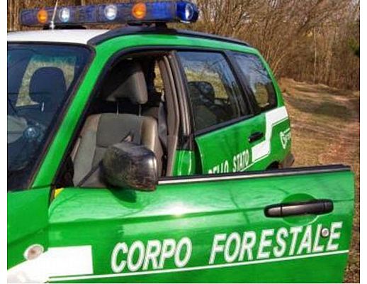 13072015 corpo forestale