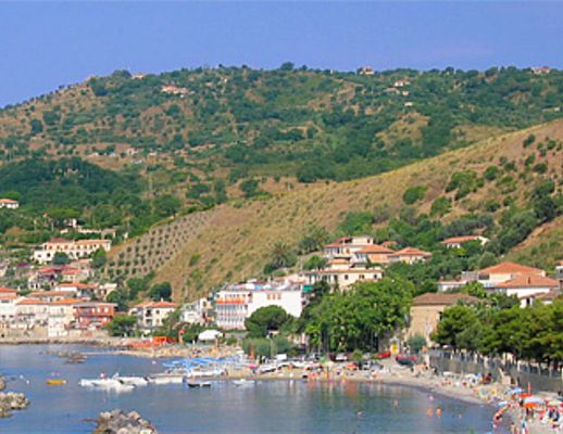 13072015 pioppi nel cilento