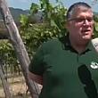 Paesi del Cilento - Le ultime  Notizie foto - 13072026 parco e video divino