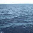 Cronaca foto - 13082015 mare aperto