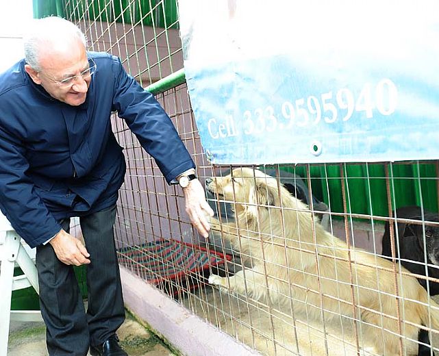 13092013 de luca al canile