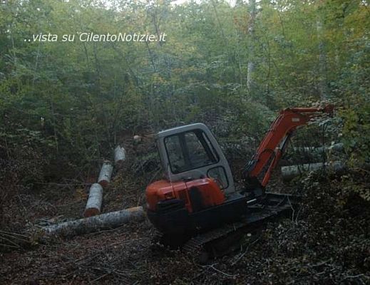 Nicola-Salati foto - 13102013 cervati