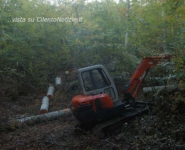 13102013 cervati 13102013 cervati