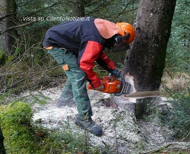 13102013 operaio forestale 5 13102013 operaio forestale 5