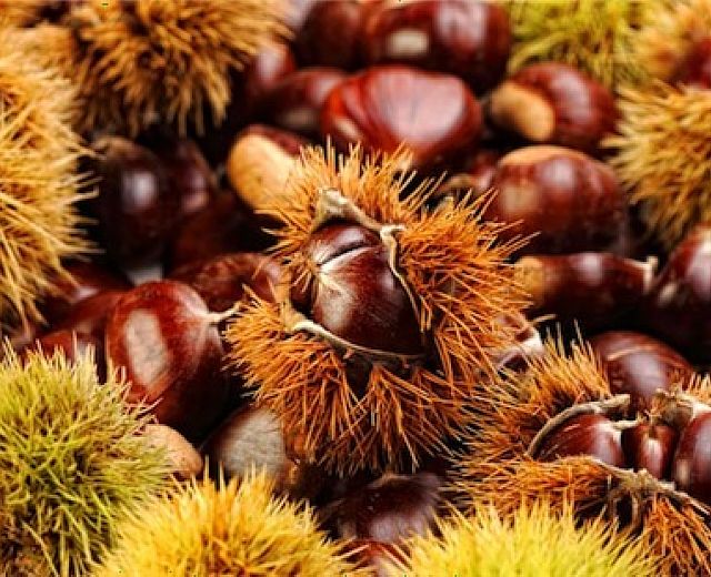 13102014 festa della castagna