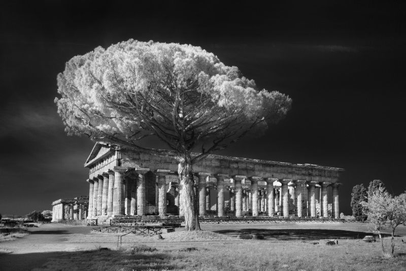 paestum mostra fotografica