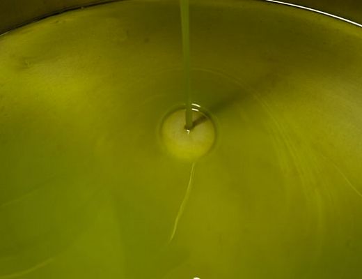 13112014 olio