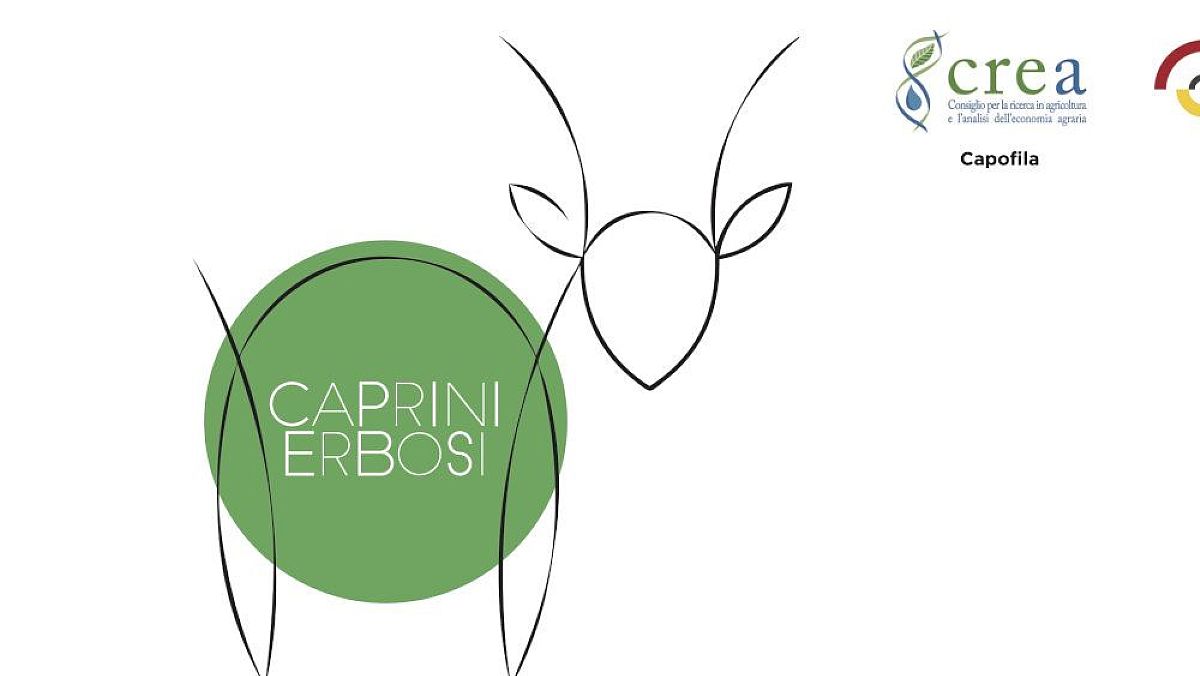 13112023 caprini erbosi 13112023 caprini erbosi