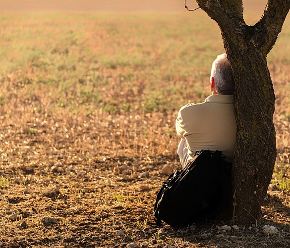 Giuseppe-Lembo foto - 13122017 uomo solo albero