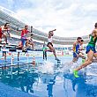 Spettacoli-eventi foto - 13122018 sport