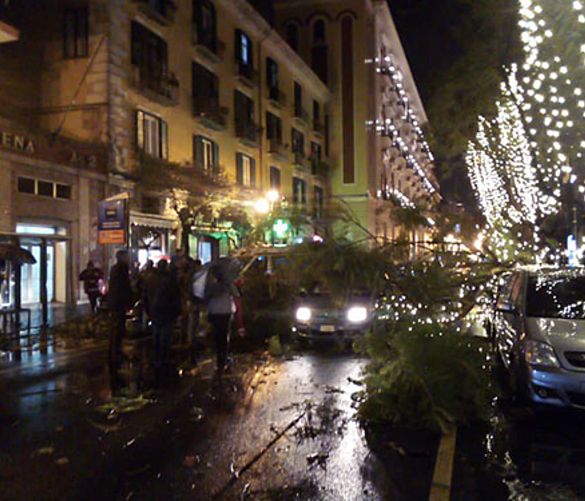 13122019 alberi auto salerno