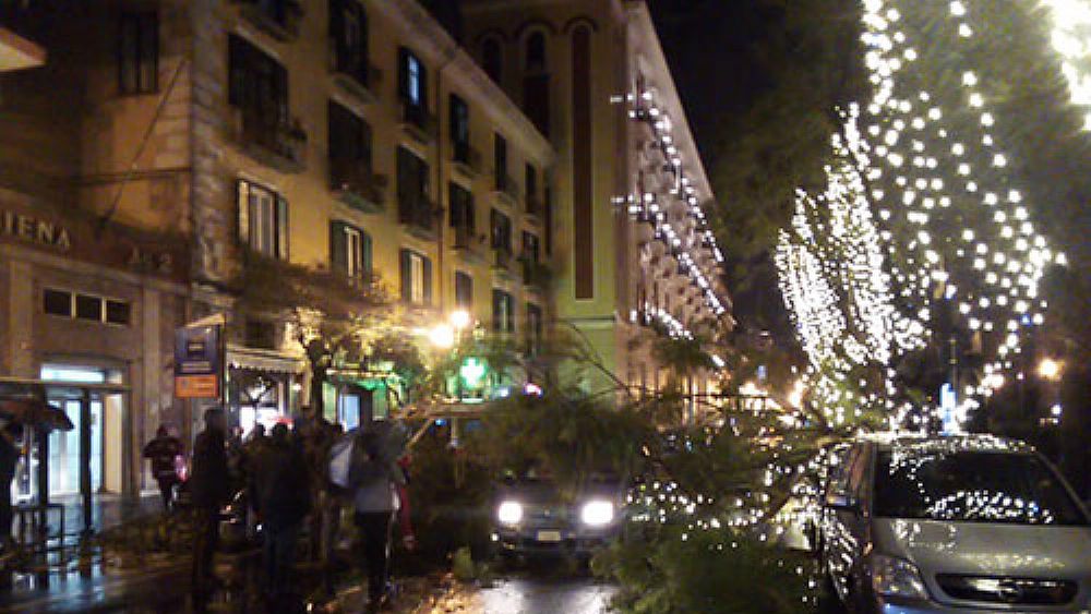 13122019 alberi auto salerno