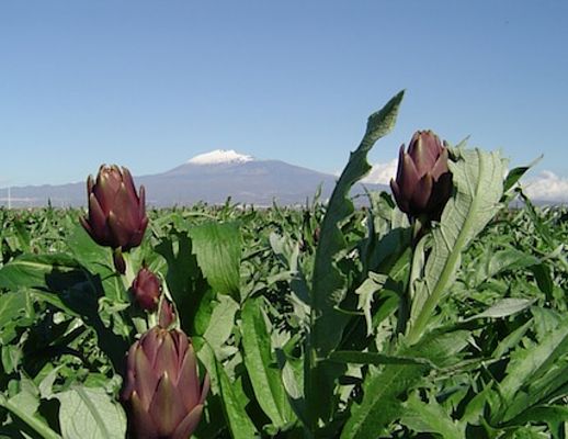 14022015 agricoltura