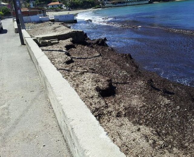 14032014 erosione lido azzurro