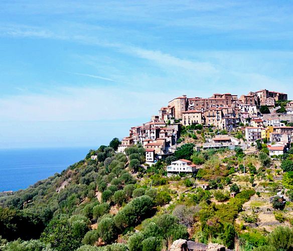 14032022 pisciotta