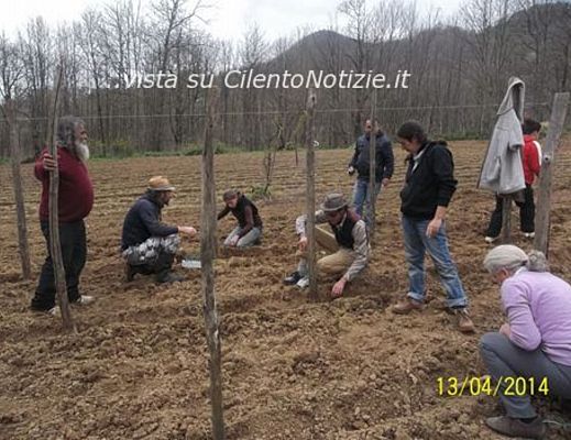 Paolo-Abbate foto - 14042014 conorto abbate 01