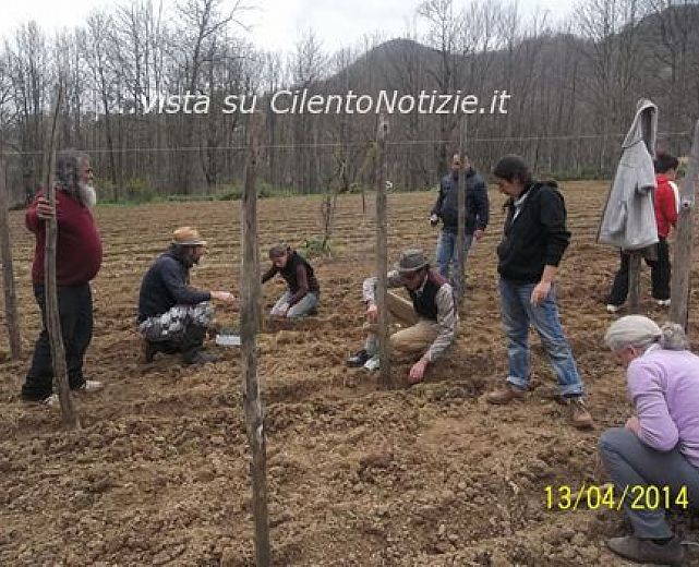 14042014 conorto abbate 01