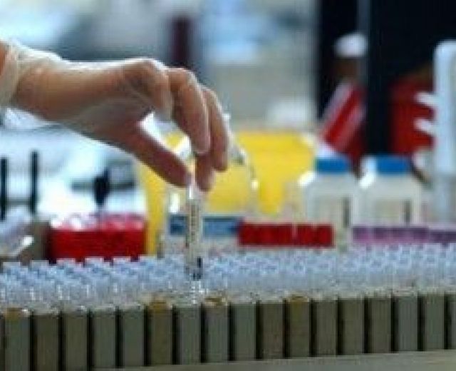 14042014 traffico virus 14042014 traffico virus