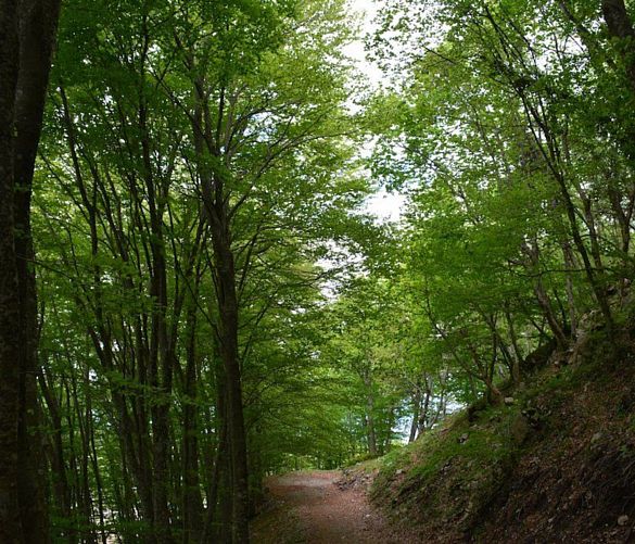 14042018 passeggiata2