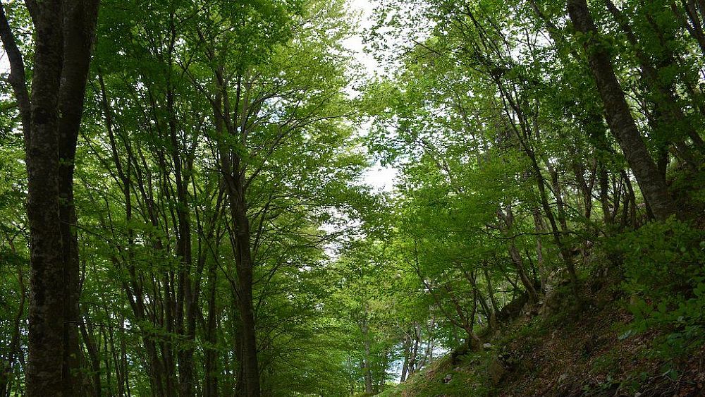 14042018 passeggiata2