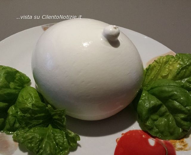 14052015 foto big zizzona