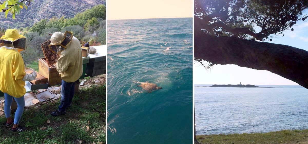 bellezze del cilento