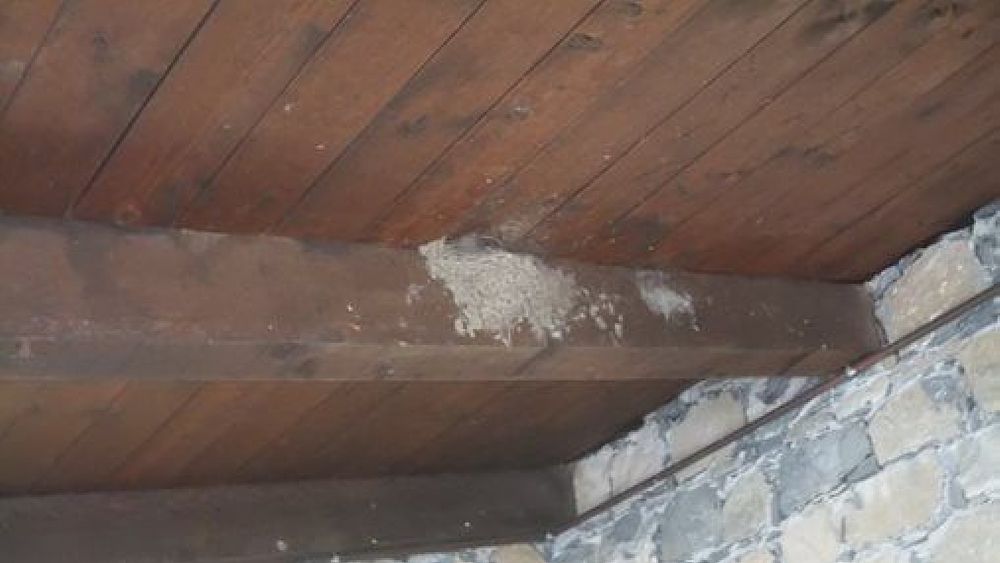 14052019 nido cilento