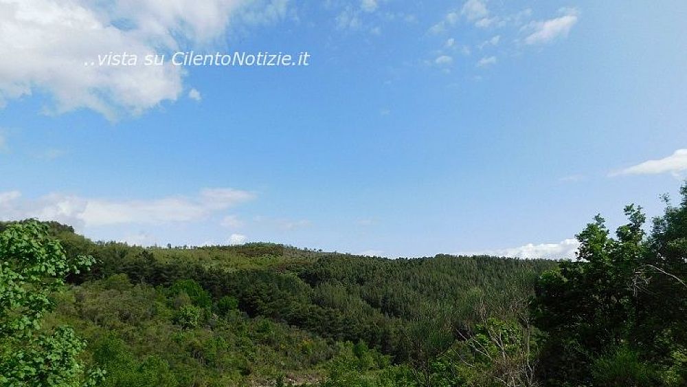 14052023 foto bosco 14052023 foto bosco