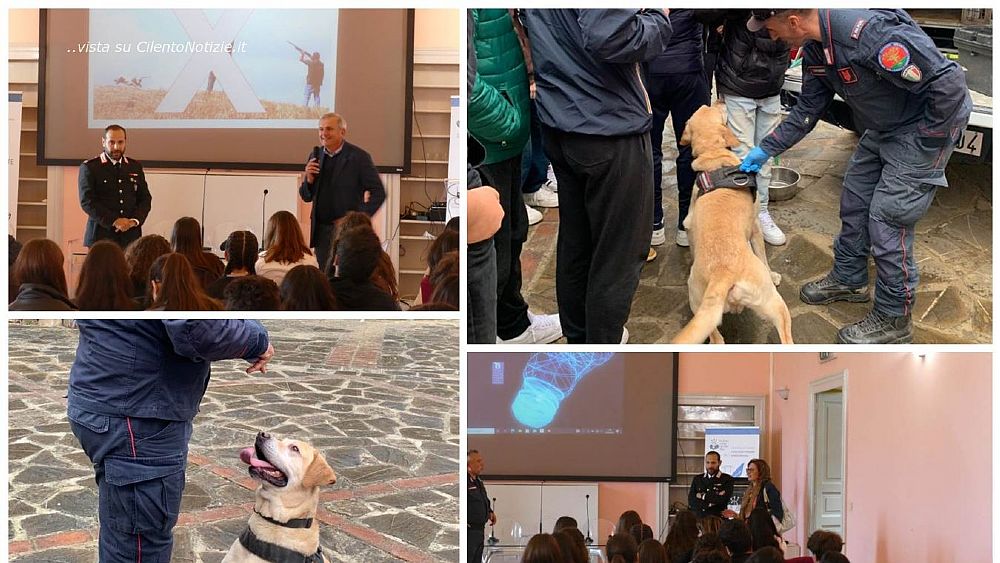 14052023 ic castellabate e carab 14052023 ic castellabate e carab