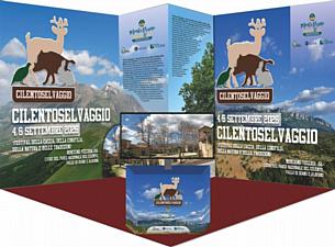 14052026 poster cilento selvaggio