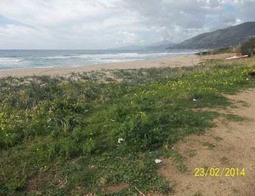 Paolo-Abbate foto - 14062014 art abbate 01