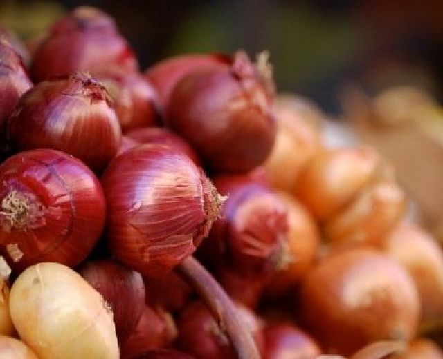 14072014 festa cipolla