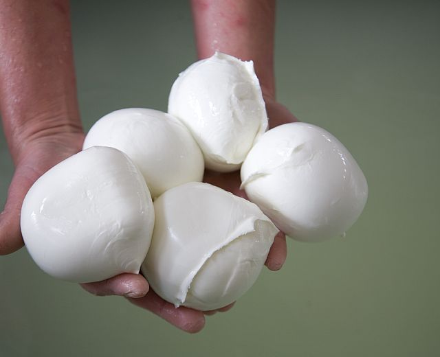 14072014 professione casaro