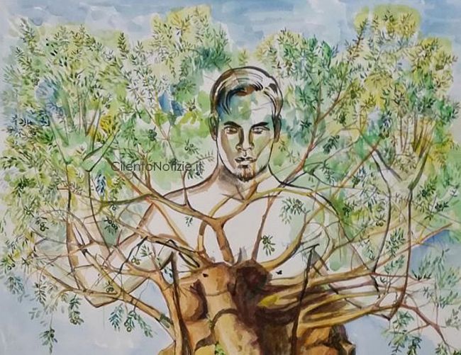 Marisa-Russo foto - 14072017 quadro ulivo plurisecolare vilkov