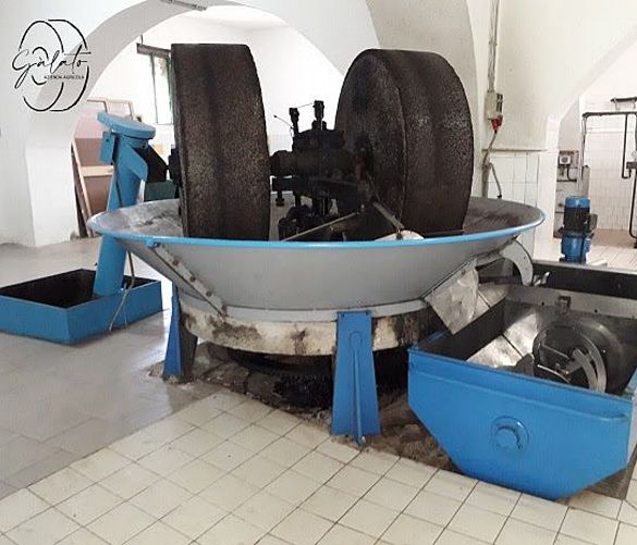 14072021 azienda agricola galato