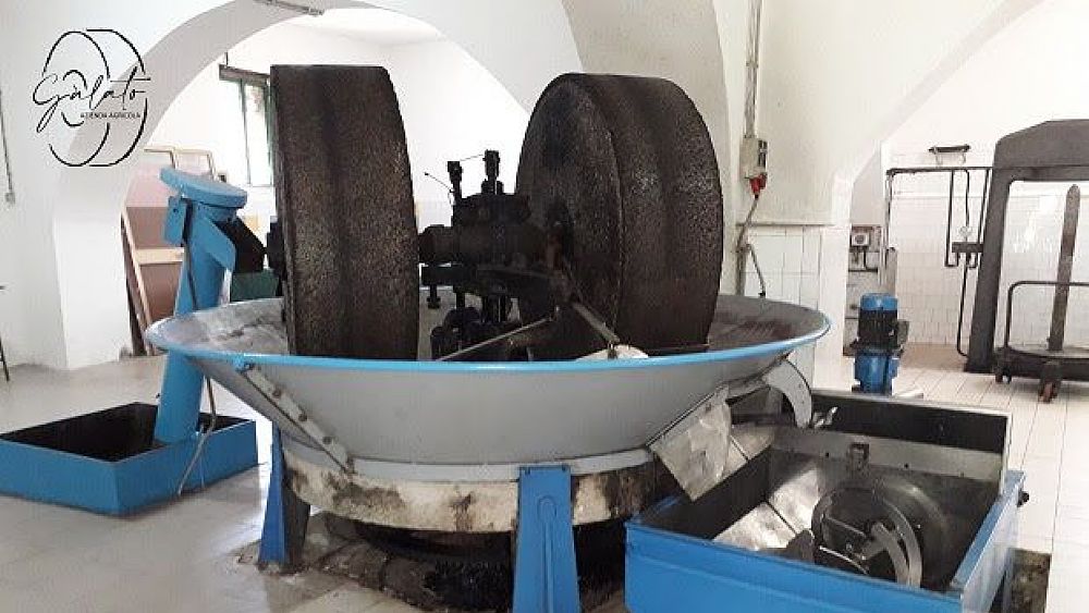 14072021 azienda agricola galato